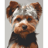 Yorkshire terrier 40x50cm, Art Craft - płótno naciągnięte na ramę