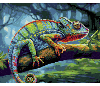 Kameleon 40 x 50 cm